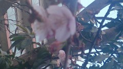 川崎の帰りにみたものは。。。