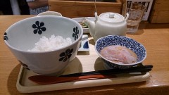 今日は鯛茶漬け