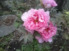 思ったんだけど…