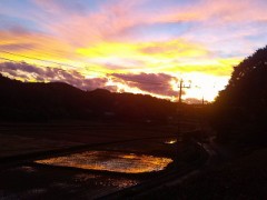 どんな風に年を取りたい？