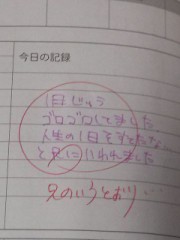 大人になった？