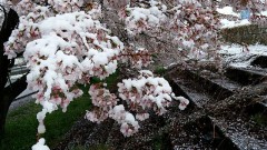 【お題日記】ドライブデートの理想プラン