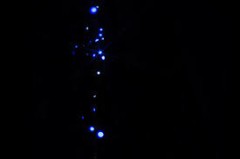 【お題日記】ふとした疑問