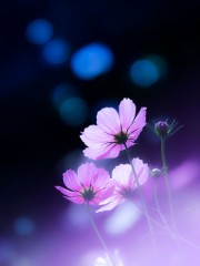 【お題日記】今Hしたい相手は居る？