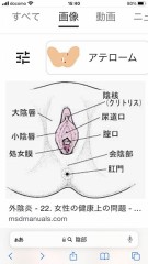 【お題日記】好きなアソコの形は？