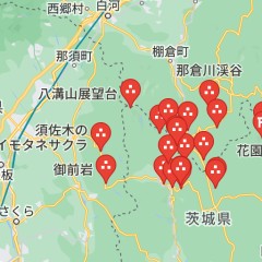 【お題日記】行ったことない都道府県