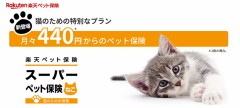 【お題日記】ペット保険加入してる？