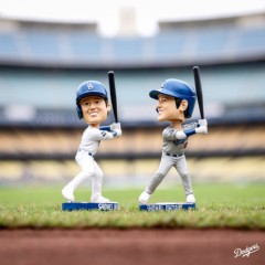 【お題日記】会場まで行って見た事あるスポーツ