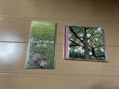 【お題日記】8インチCDまだ何か持ってる？