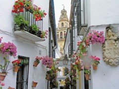 【お題日記】今旅行してみたい国は？