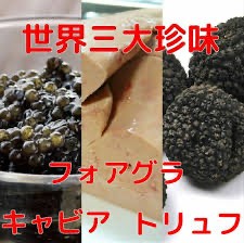 【お題日記】世界三大珍味食べた事あります
