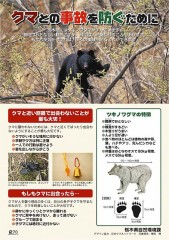 【お題日記】1番になった事って何がある？