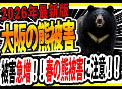 【お題日記】もし時間を止められるなら何をする？