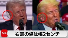 【お題日記】1日だけ有名人になるなら誰になって、何をする？