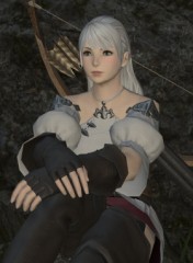 FF14やろうかと思います