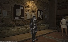 エオルゼアのとある日常