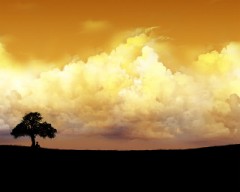 【お題日記】あなたが見たことのあるドラマの思い出は？