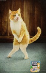 【お題日記】この人上手だなって思うポイント