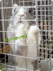 【お題日記】異性にこう言われたら興奮する