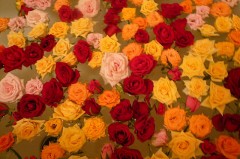 【お題日記】今の恋人と過去の人を比べる？