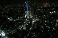 【お題日記】異性の顔と体型 どちらを重視する？