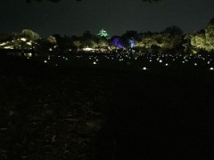 お盆休みおしまい