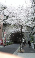 忘れられない人いますか？