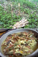 春風が心地良い日に畦道で。