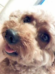 ぉやすみなさぃ☆