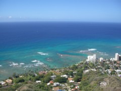 久しぶりの日記。