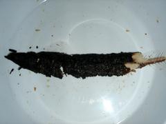 スモーク・オンザ・ウォーター