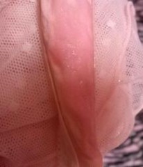 パンチュがっ…♪