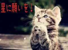 ささやかな幸せ