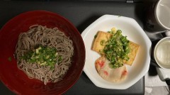 花見に行けない