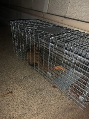 遂に！！(画像要注意)