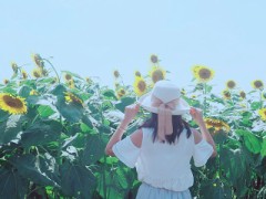 【お題日記】資格いくつ持ってる？