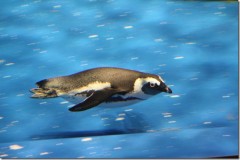 本日はソラマチへ