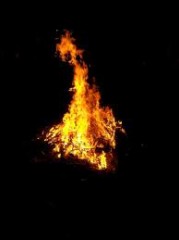 明けましておめでとうございます！