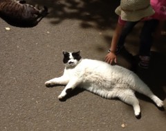 平塚総合公園にいる