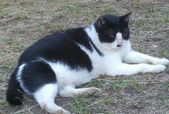 今日平塚総合公園の