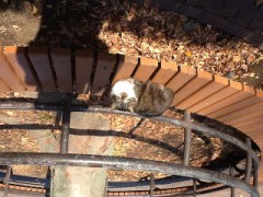 もう寒いしXmas近いね