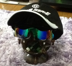 ウォーキングの奴が届きました