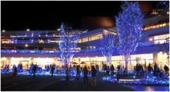 【お題日記】やり残したことありますか？