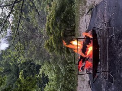 秘密基地ごっこ