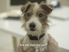 人生はビギナーズ