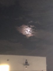 雲の中のゾンビ