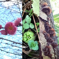 やわらかく開く