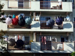 雨上がりの晴れた日に