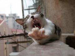 ああぁ～～～っ！