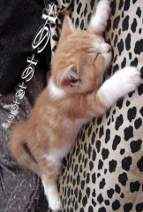 たすけてぇ～～～っ！！